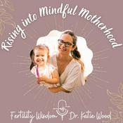 Podcast Finally Get Pregnant Naturally: Holistic Fertility Support To Conceive Naturally and Stay Pregnant After Miscarriage