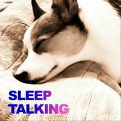 Podcast りょうのねごと