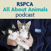 Podcast RSPCA All About Animals podcast