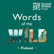 Podcast Words of the Wild