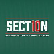 Podcast Section 10