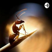 Podcast Semut Merahh