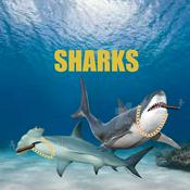Podcast SHARKS