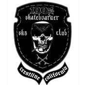 Podcast Skateboarding with Dad