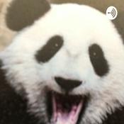 Podcast Something Amazing