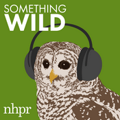 Podcast Something Wild