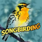 Podcast Songbirding