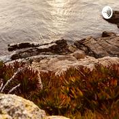 Podcast Space and Science for dummies