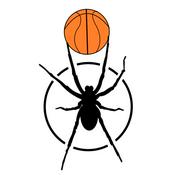 Podcast Spider Sports Podcast