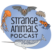 Podcast Strange Animals Podcast