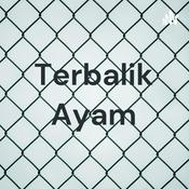 Podcast Terbalik Ayam