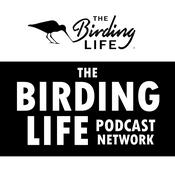 Podcast The Birding Life Podcast Network