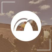 Podcast The Bridge RSM