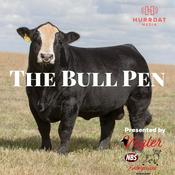 Podcast The Bull Pen