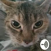 Podcast The Dread Cat Bonkers