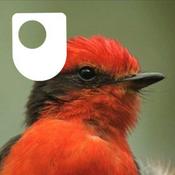 Podcast The Galapagos - for iPod/iPhone