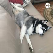 Podcast The official podcast