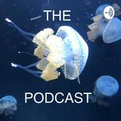 Podcast The podcast