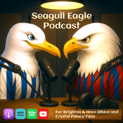Podcast The Seagull Eagle Podcast