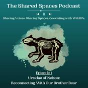 Podcast The Shared Spaces Podcast