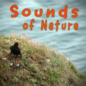 Podcast Sounds of Nature