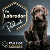 Podcast The Labrador Podcast - From Tails of Success Labrador Training