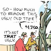 Podcast The Tree Feller