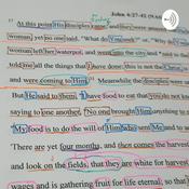 Podcast Back To The Book