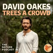 Podcast Trees A Crowd