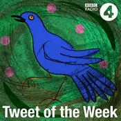 Podcast Tweet of the Week