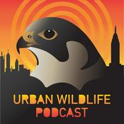 Podcast Urban Wildlife Podcast