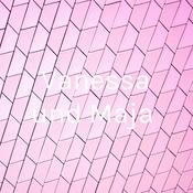 Podcast Vanessa und Maja