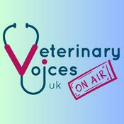 Podcast Vet Voices On Air