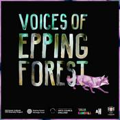 Podcast Voices of Epping Forest