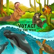 Podcast Voyage to the Wild