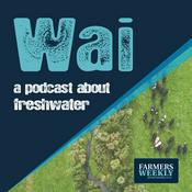 Podcast Wai