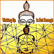 Podcast Waking Up Is Not Enough: Flourishing in the Human Space
