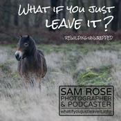 Podcast What if you just leave it? Rewilding unwrapped