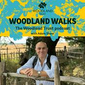 Podcast Woodland Walks - The Woodland Trust Podcast