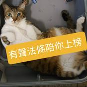 Podcast 有聲法條陪你上榜