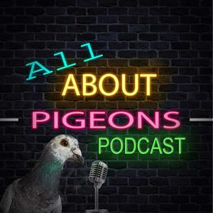 Listen to All About Pigeons in the App