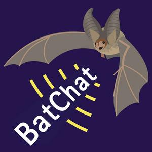 Listen to BatChat in the App