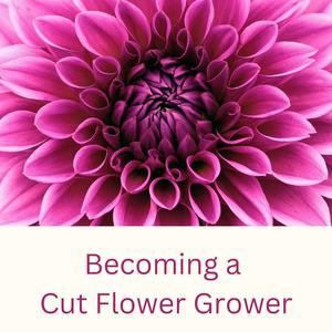 Listen to Becoming a Cut Flower Grower in the App