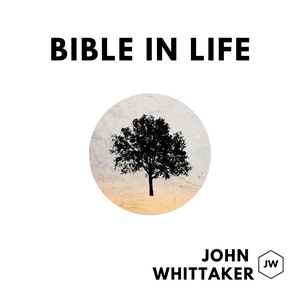 Listen to Bible in Life in the App