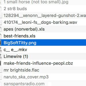 bigsofttitty.png