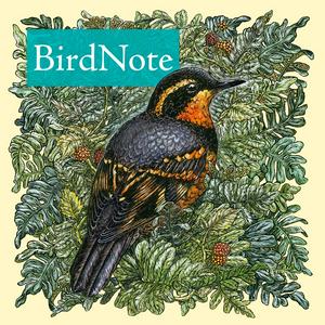 Listen to BirdNote Daily in the App