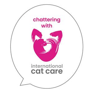 Chattering with iCatCare