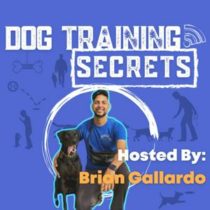 Listen to Dog Training Secrets in the App