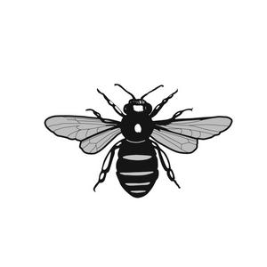 Listen to Frodsham Town Council Podcast in the App