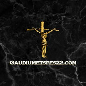 Listen to Gaudiumetspes22 podcast in the App